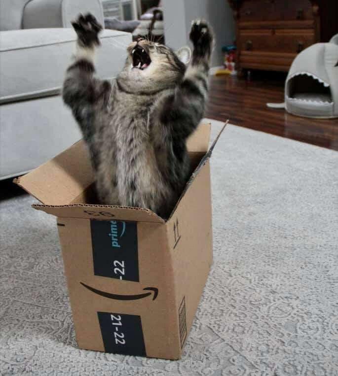 derantiwarhol's tweet image. „SCHRÖÖÖÖÖÖÖÖDINGEEEER!“