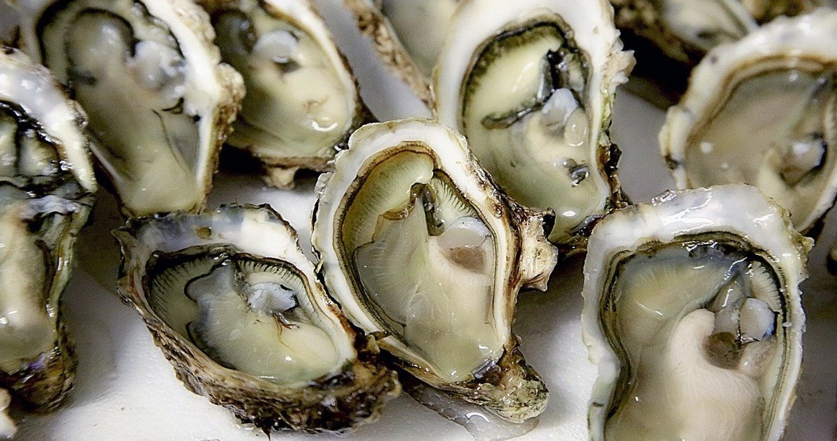 gncanada's tweet photo. 11 Great Foods that Increase Testosterone

https://t.co/RFVl43DsqB https://t.co/L2Rq9EsGUX