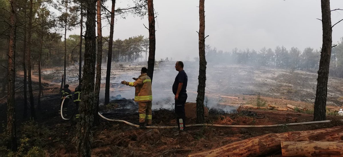 MAtillaKaya's tweet photo. Muğla Kavaklıdere Çamlıbel'deyiz. 

Büyük bir özveriyle ve fedakarlıkla çalışan ekiplerimiz, yangın bölgesindeki mücadelelerine devam ediyor. 

Devletimiz tüm imkanlarıyla hemşehrilerimizin yanında. https://t.co/wnnZRe6PnK