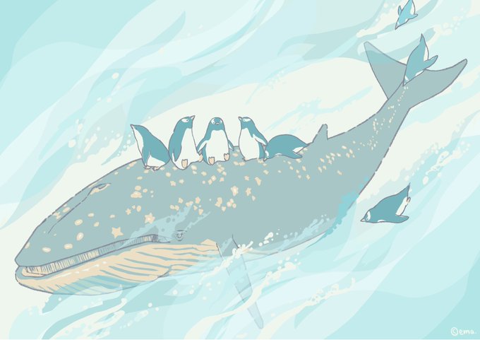 「鮫 水」のTwitter画像/イラスト(新着)｜3ページ目