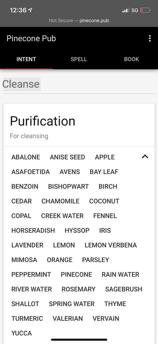 Literally y’all can just go on Pinecone Pub and find a whole list of non-appropriative herbs you can burn (with the except of cedar and abalone, those are closed).