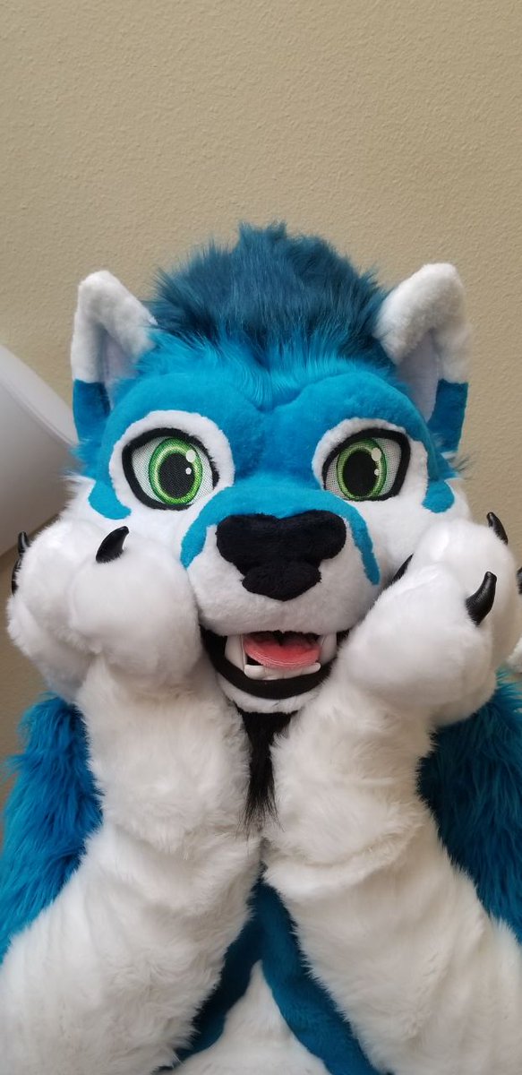 TheOneDima's tweet photo. How to find this big fluffy boy @MegaplexCon https://t.co/jzfLwLtJlq