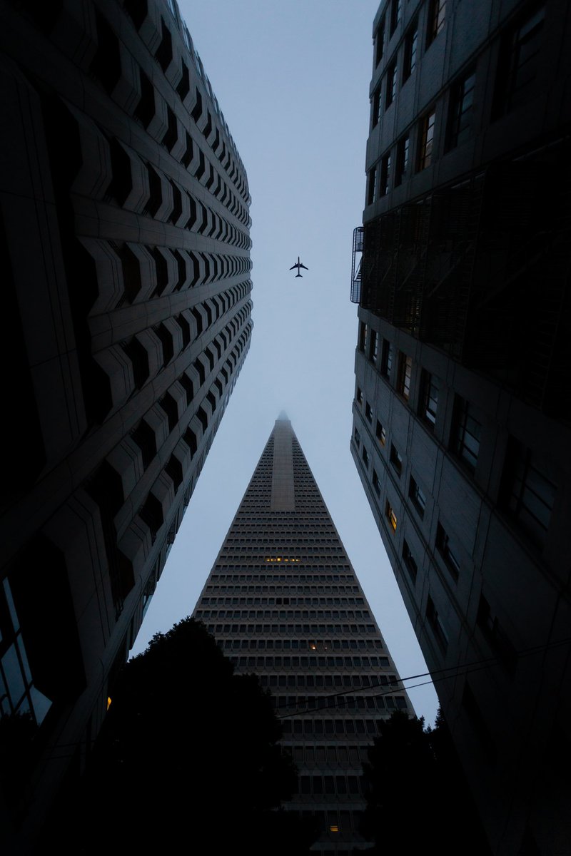 Look up in SF📍