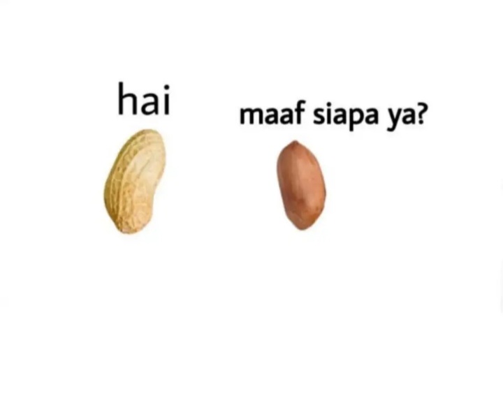 Jangan pernah lupakan mereka yg telah banyak membantu akun kita

Terima kasih promotor pro-NKRI
<a href="/wiwikherma/">Wiwik Hermawati</a> @Nadjib_178 <a href="/BaswirOb/">Sang Promotor</a> <a href="/Just_Aya9/">@Just_Aya9</a> <a href="/r3tmono/">feel free ajah</a> <a href="/Luthfi_nashrul/">🇮🇩 Luthfi 🇲🇨</a> <a href="/AbidinBoryta/">🕋𝓐𝓫𝓲𝓭𝓲𝓷 𝓑𝓸𝓻𝔂𝓽𝓪 🇮🇩</a> @Indonesiastyle_ <a href="/BaraTerpendam/">Pemburu Kecil</a> <a href="/CantikaCahyhani/">Bunda Cantika</a> @kalimayafashion @Arrof11 <a href="/Even1508/">🐎 𝐄 𝐕 𝐄 𝐍 🐎</a> <a href="/yush_abubakar/">Yush</a>