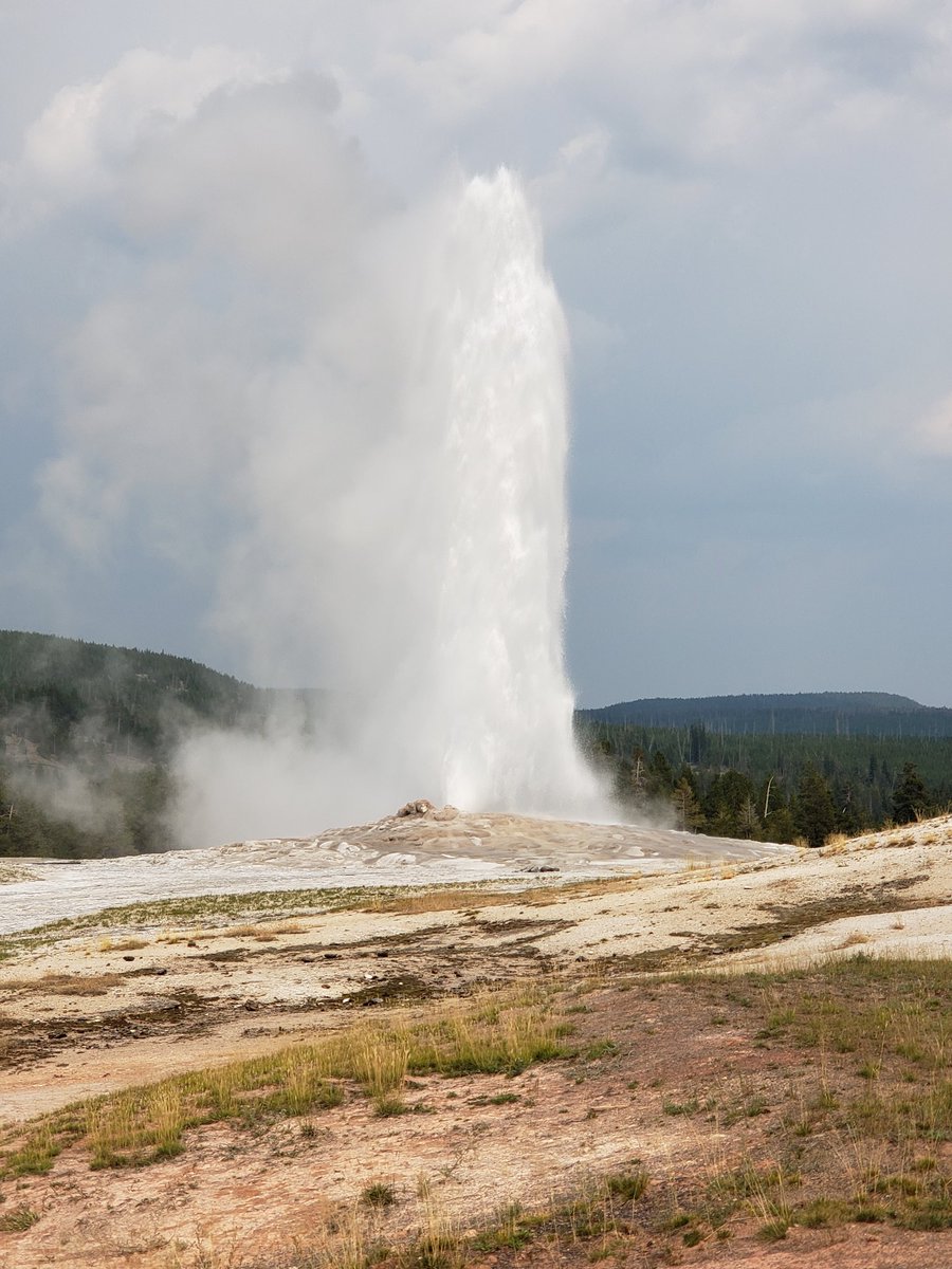 Day 5 highlights of #BoltonFamilyRoadTrip2021, #GraceyOutdoors, & #BoltonFamilyRoadTrip2021 from @YellowstoneNPS. #GrandCanyonOfTheYellowstone, #Buffalo, #Bison, #OldFaithful