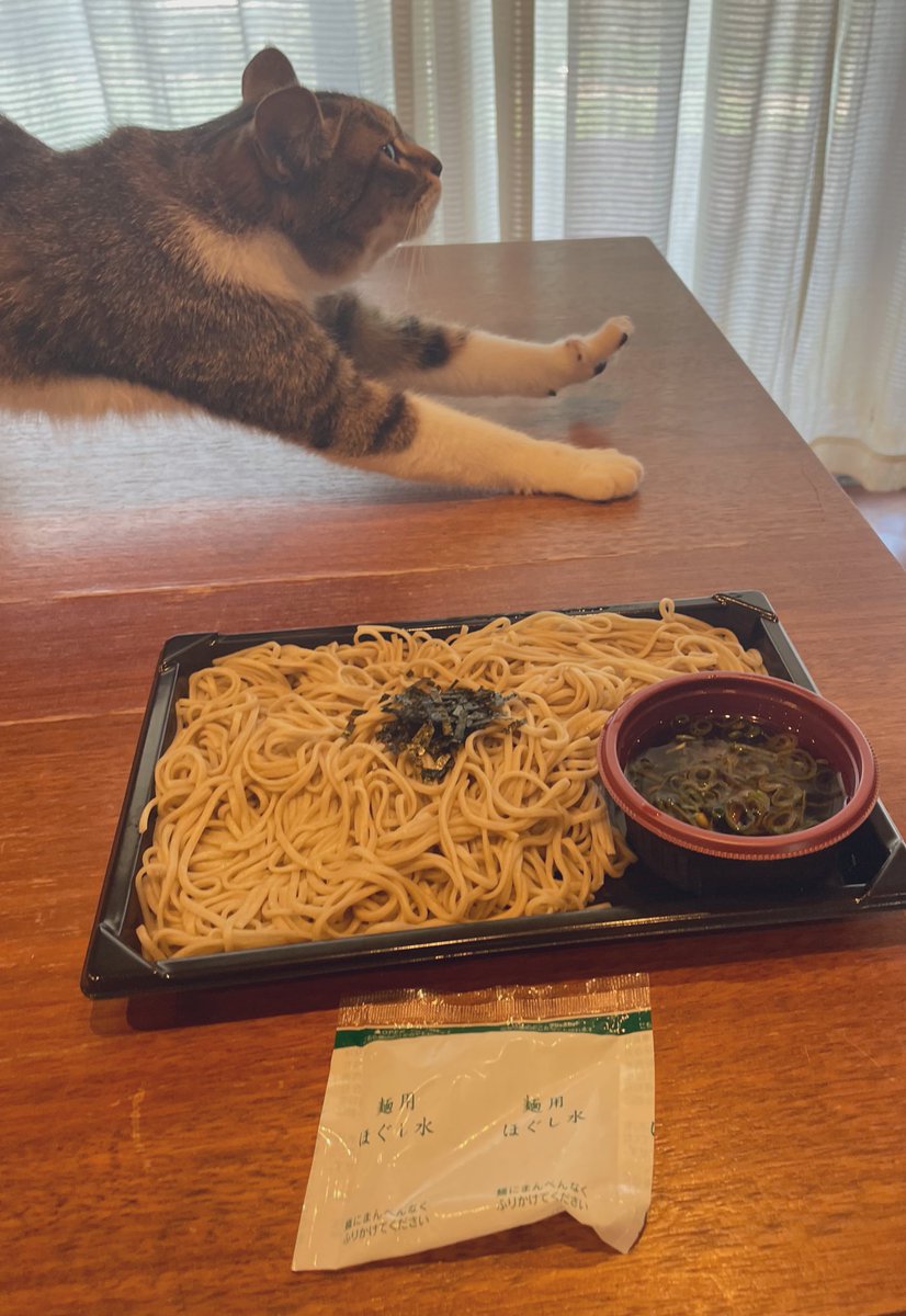 ট ইট র ココニャ 猫写真集 発売中 セブンイレブンのざる蕎麦についに大盛りが出たんだけど増えたのは麺だけで薬味は増えてなくて 従来の規模のほぐし水で果たして大盛りの麺をほぐし切れるだろうか と漠然とした不安を抱えています ট ইট র ココニャ 猫写真集 発売中 セブンイレブンのざる蕎麦についに大盛りが出たんだけど増えたのは麺だけで薬味は増えてなくて 従来の規模のほぐし水で果たして大盛りの麺をほぐし切れるだろうか と漠然とした不安を抱えています
