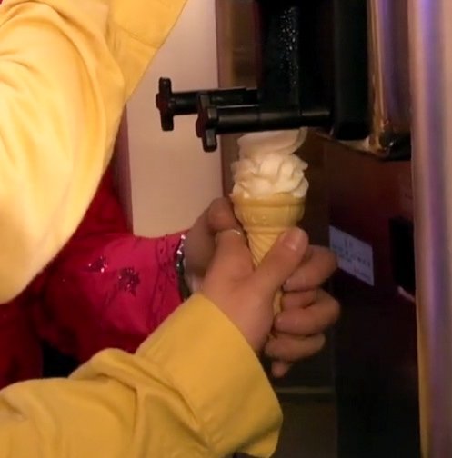 🐯🍦🐰
