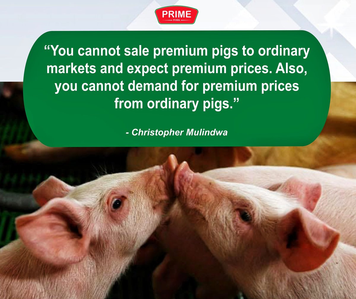 PRIME PORK (U) LTD tweet media