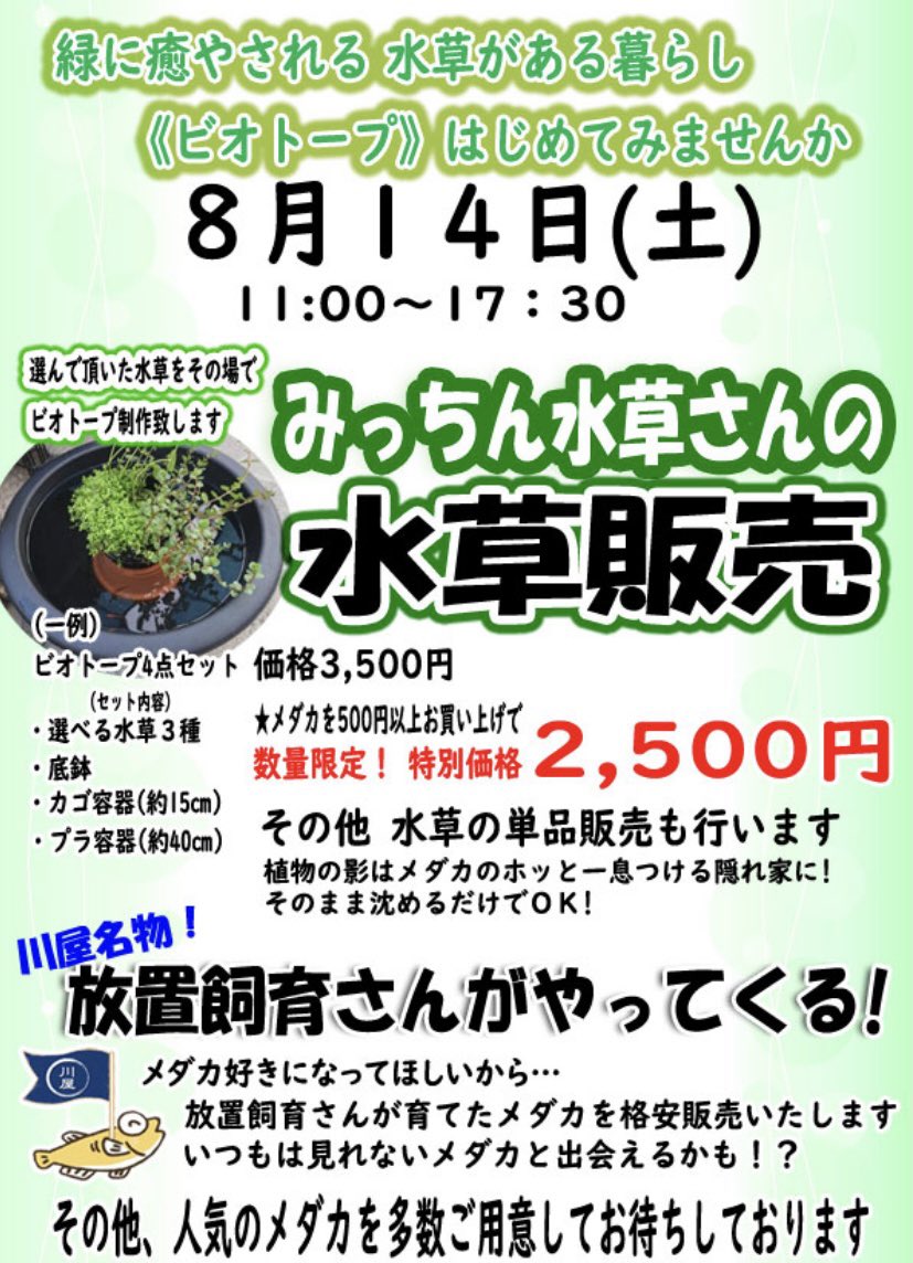めだか川屋 على تويتر こんにちは めだか 川屋です 今日はめちゃくちゃ暑いですね 8月14日 土 当店で みっちん水草さんの水草と 川屋日曜名物 放置飼育さんのめだかを販売して頂ける事となりました 普段見てもらえませんので お時間ございましたら 遊び めだか川屋 على تويتر こんにちは めだか 川屋です 今日はめちゃくちゃ暑いですね 8月14日 土 当店で みっちん水草さんの水草と 川屋日曜名物 放置飼育さんのめだかを販売して頂ける事となりました 普段見てもらえませんので お時間ございましたら 遊び