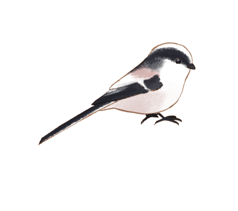 アブラムシのtwitterイラスト検索結果 アブラムシのtwitterイラスト検索結果