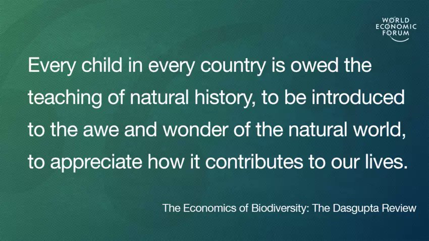 Southern English curlews fledged just a few chicks this year. Farming practices, habitat loss &amp; predation are the reasons. There's a gross lack of awareness of the decline of nature. PLEASE email your MP for a GCSE in Natural History. It's ready to go but we need a YES from GOV.