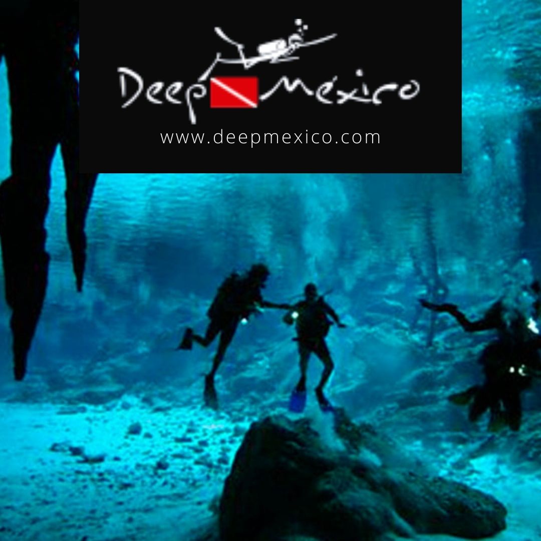 DeepMexico1's tweet image. Diving in Cenote Dos Ojos

It is an easy-medium level cave dive, with access to air spaces which makes it a very safe dive guided by our certified guides as full cave Divers.

Cone and enjoy : bit.ly/3rZ0Hw3
DM us : +52 984 157 5464