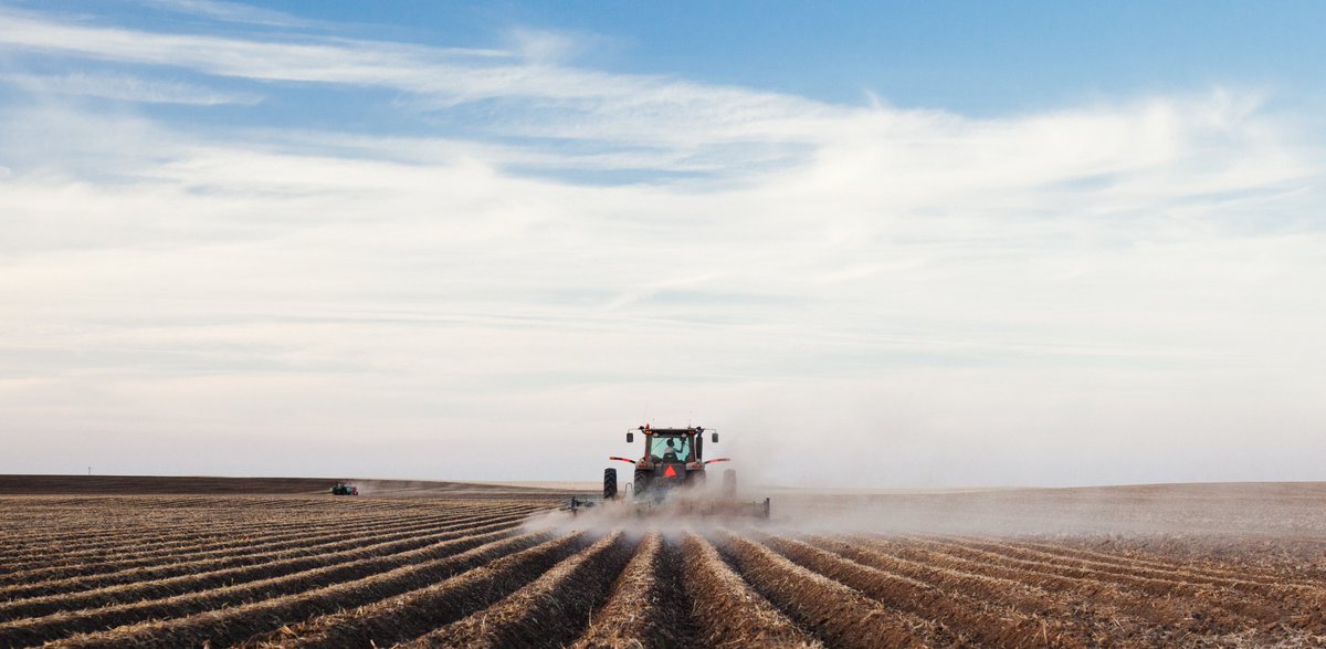 A farmer’s business decisions are complicated by the changing and demanding needs of our planet. 

As one of the world’s leading agricultural companies, Syngenta helps farmers adapt to these changes.

Follow the link in our bio to learn more.

#syngenta #syngentasa #agriculture