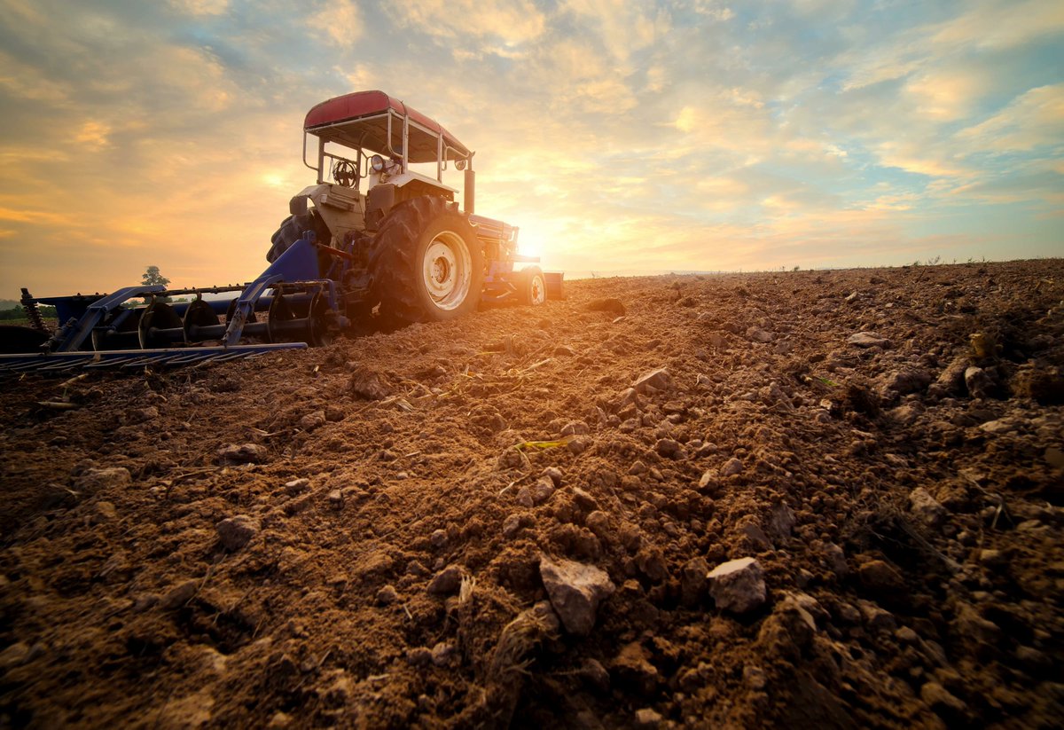 Smallholder or commercial – we work with every type of farmer to grow more productive plants. 

Follow the link in our bio to learn more. 

#syngenta #syngentasa #agriculture #sustainability #farming #future #cropprotection