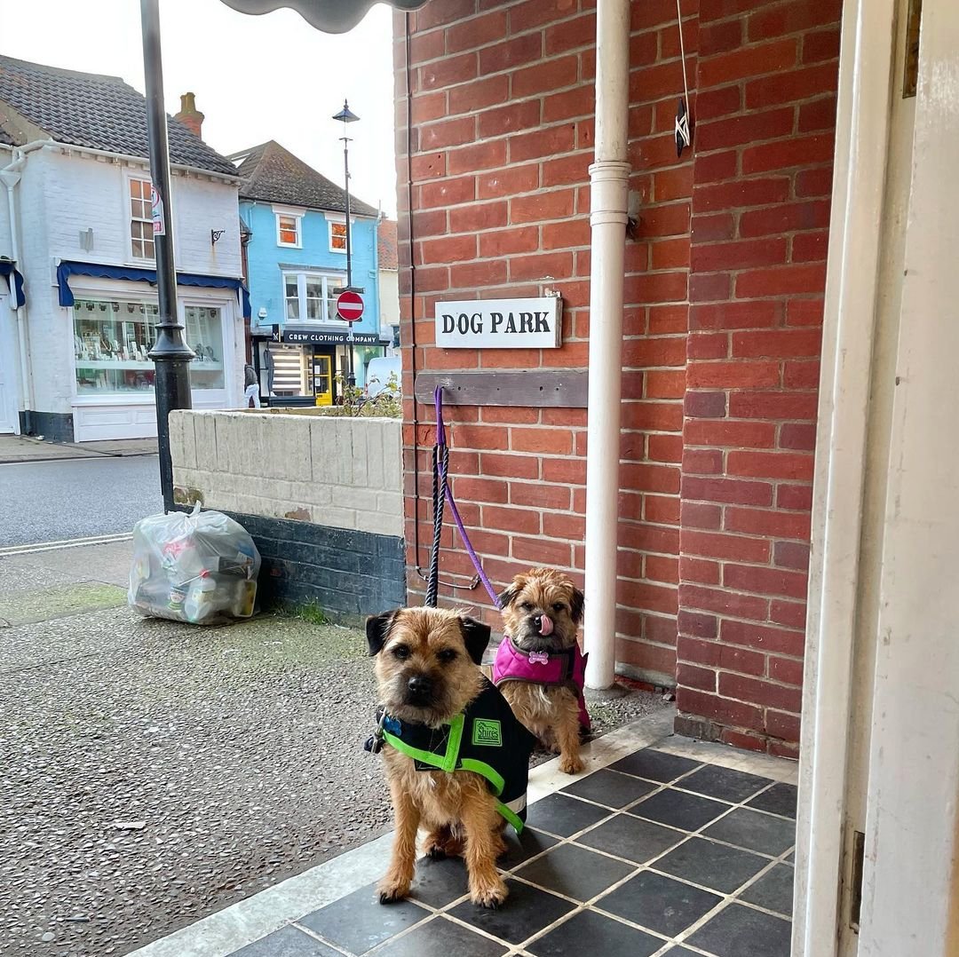 Historical #Aldeburgh landmark has been stolen!  Our 'Dog park' sign went missing last week. Local dogs are devastated not to be able to hang out outside their favourite butchers shop. A reward of the sausage variety is available for info that leads to its safe return 🤞 Pls RT