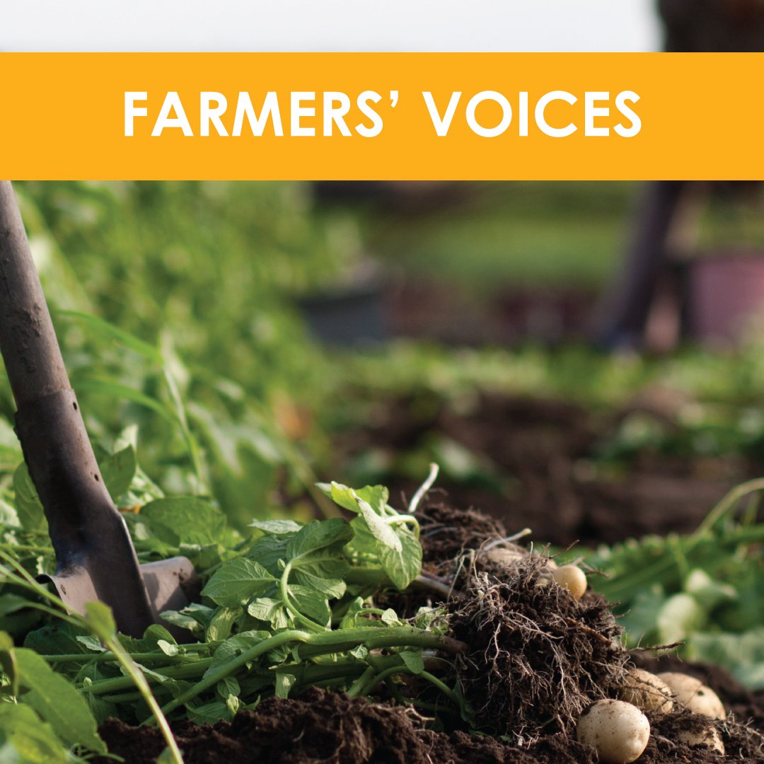 “My main source of income is from cultivating and selling bottle gourd. Before, I was not financially solvent at all due to insufficient production of bottle gourd. But now I always have money for my daily expenses.” 

#syngenta #syngentasa #agriculture #sustainability #farming