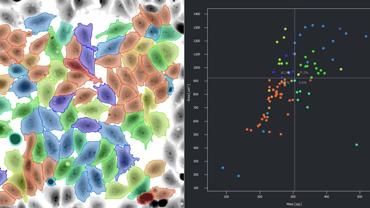 telight's tweet image. Did you know you can experience #QuantitativePhaseImaging advantages safely even without traveling? 𝕊𝕖𝕟𝕕 𝕪𝕠𝕦𝕣 𝕤𝕒𝕞𝕡𝕝𝕖 to our applications specialist, we provide the data back. For free! Write to us today bit.ly/3xrzSBZ
#livecellimaging #imagingcytometry #qpi