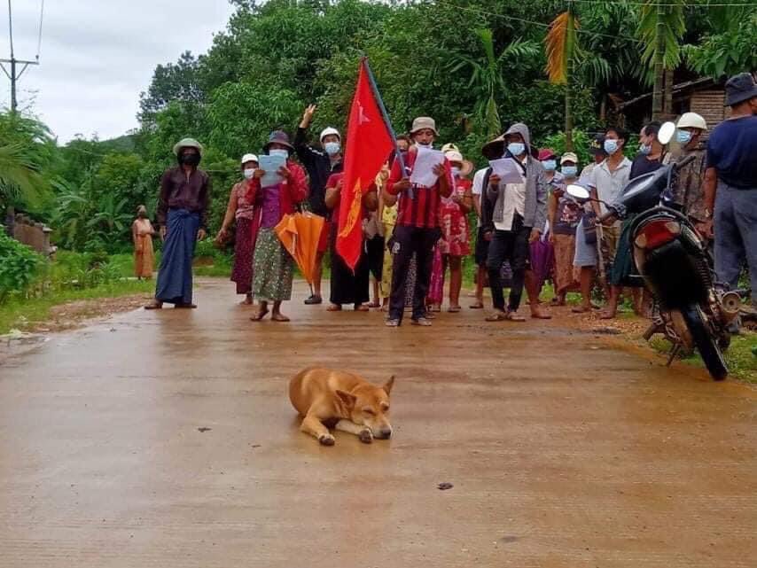 AyeThidaAung17's tweet photo. The Southern Strike of #DAWEI marched in the neighborhoods on the afternoon of August 5 to defy military rules, setting fire to MAH picture as a part of anti-regime protest.
LEGALIZATION OF NUG  #WhatsHappeningInMyanmar  #Aug5Coup https://t.co/Ifv0ME6ez3