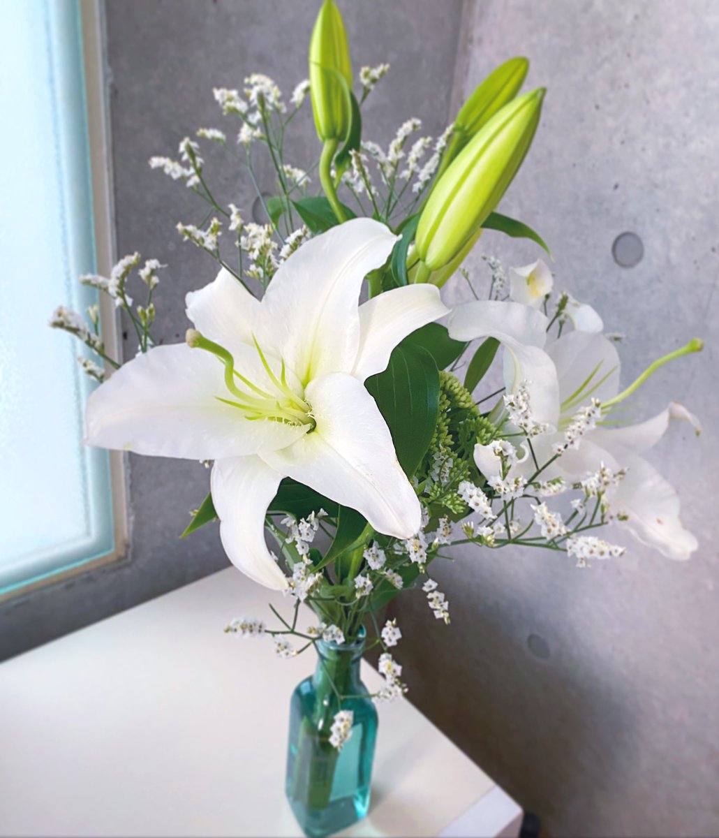 木須実 怜花たそ 花瓶が小さすぎた 笑 百合の花 全部開いたら危険な気がする 木須実 怜花たそ 花瓶が小さすぎた 笑 百合の花 全部開いたら危険な気がする