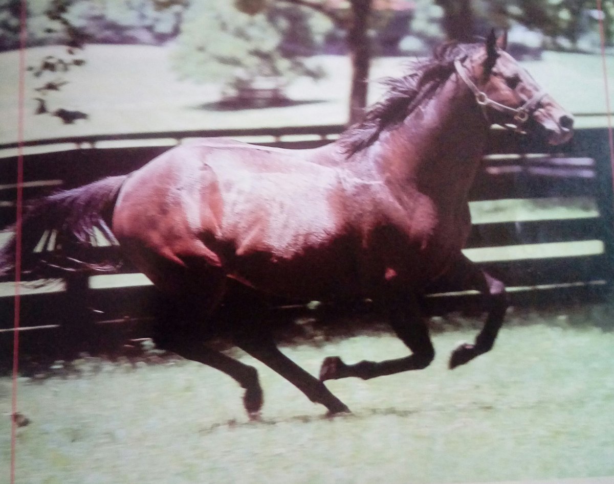 HORSERACING1002's tweet photo. KEY TO THE MINT #KeyToTheMint https://t.co/3LLfDZ0xKE
