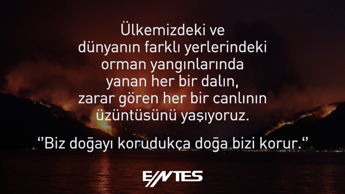 Entes Elektronik tweet media