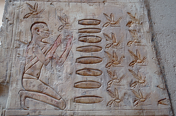 ApiaryBook's tweet photo. #beeinspiration
🐝Bees and humans have been close to each other for millennia. Our bees have earned their queen titles since the days of the Pharaohs. ✨In fact, bees were considered sacred in Ancient Egypt and were associated with royalty.
#coolBees #beeHistory #beeInspired https://t.co/DNy0tTQ3yO
