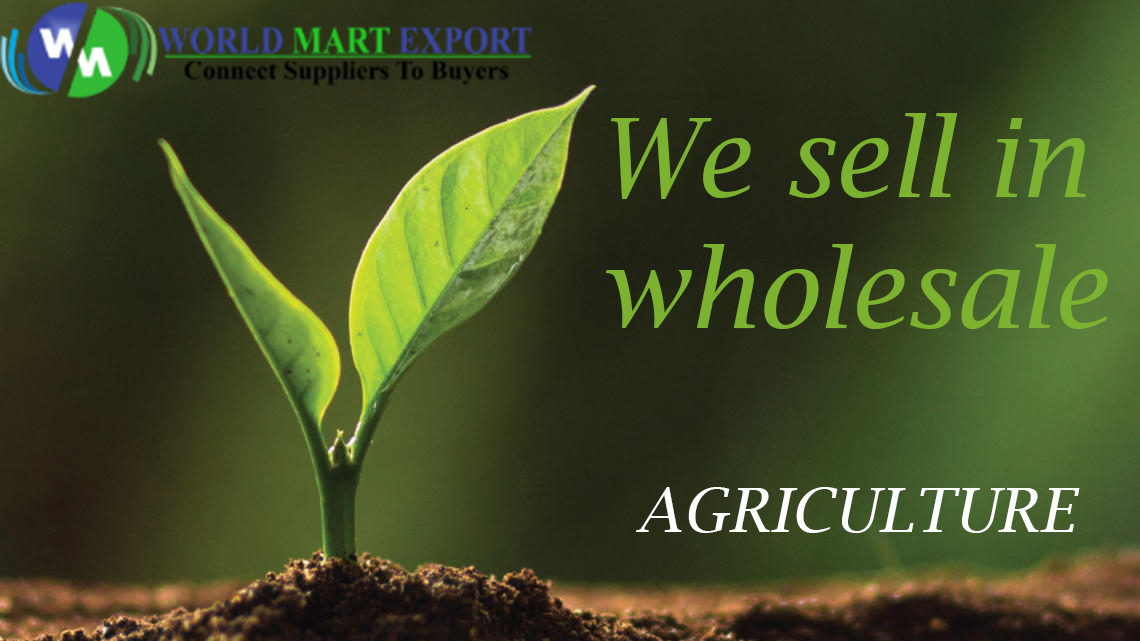 worldmartexport's tweet photo. #marketing #B2B #contentmarketing #Media #b2bmarketing #business #b2bsales #worldmartexport #worldmart https://t.co/jPqr1Xrkxf
