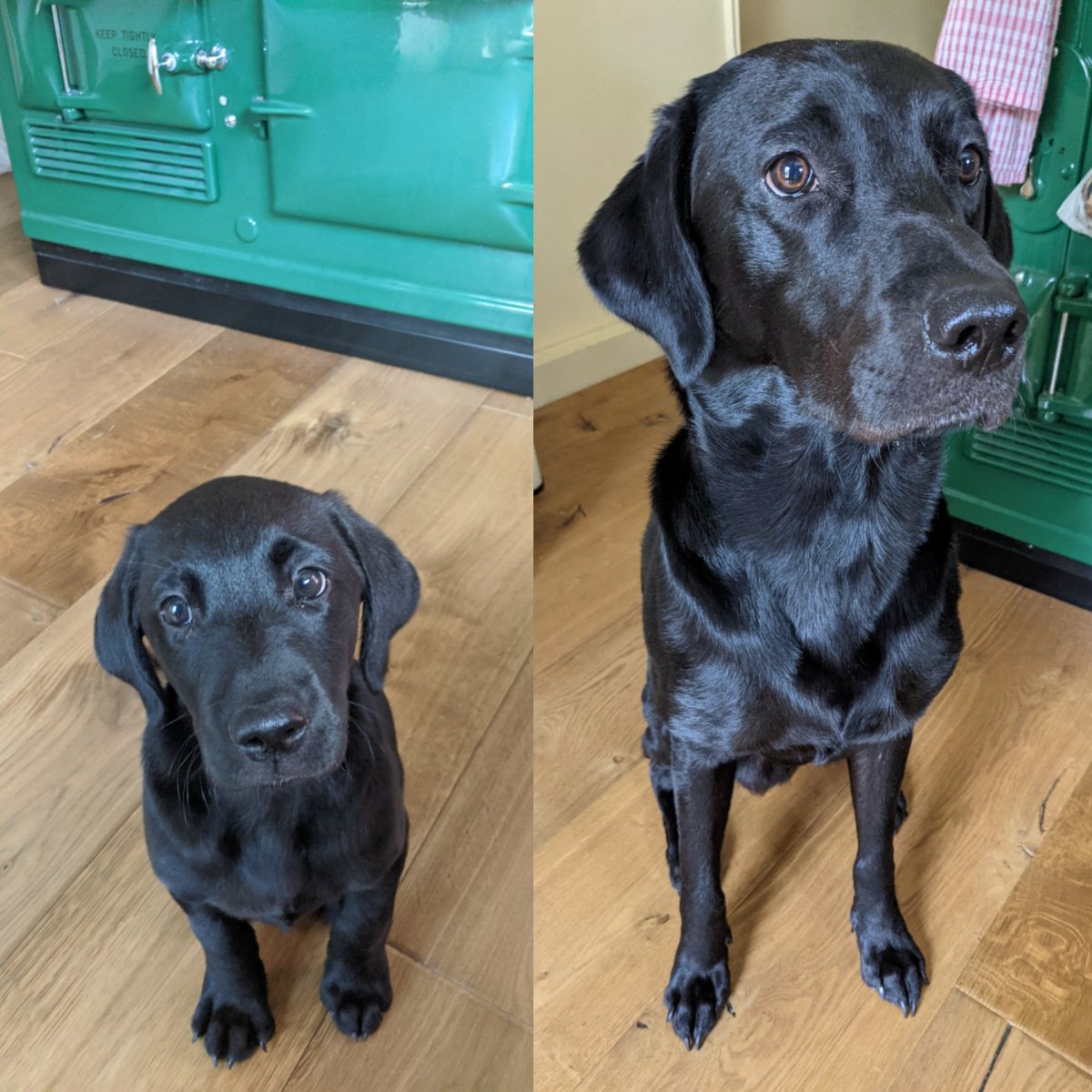 Ben Davis tweet media