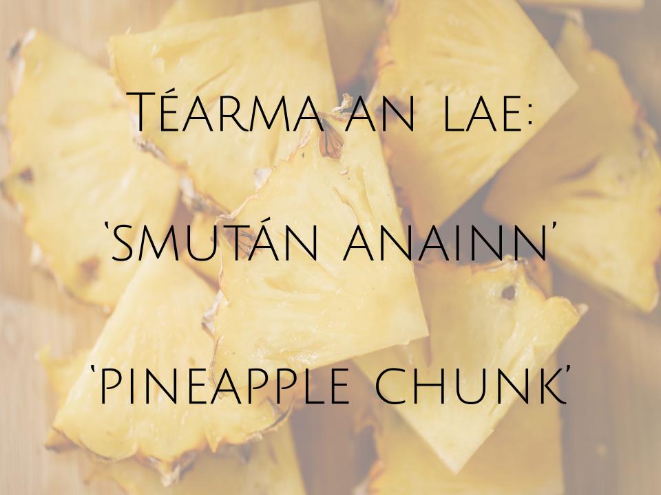 tearma_ie's tweet photo. Téarma an lae ó https://t.co/OjYP67weXJ #leChéile #smutánanainn #pineapplechunk #téarmaanlae #termoftheday #téarmaíocht #terminology #téarma #term #teanga #language #gaeilge #irish https://t.co/KKouoL4MiK