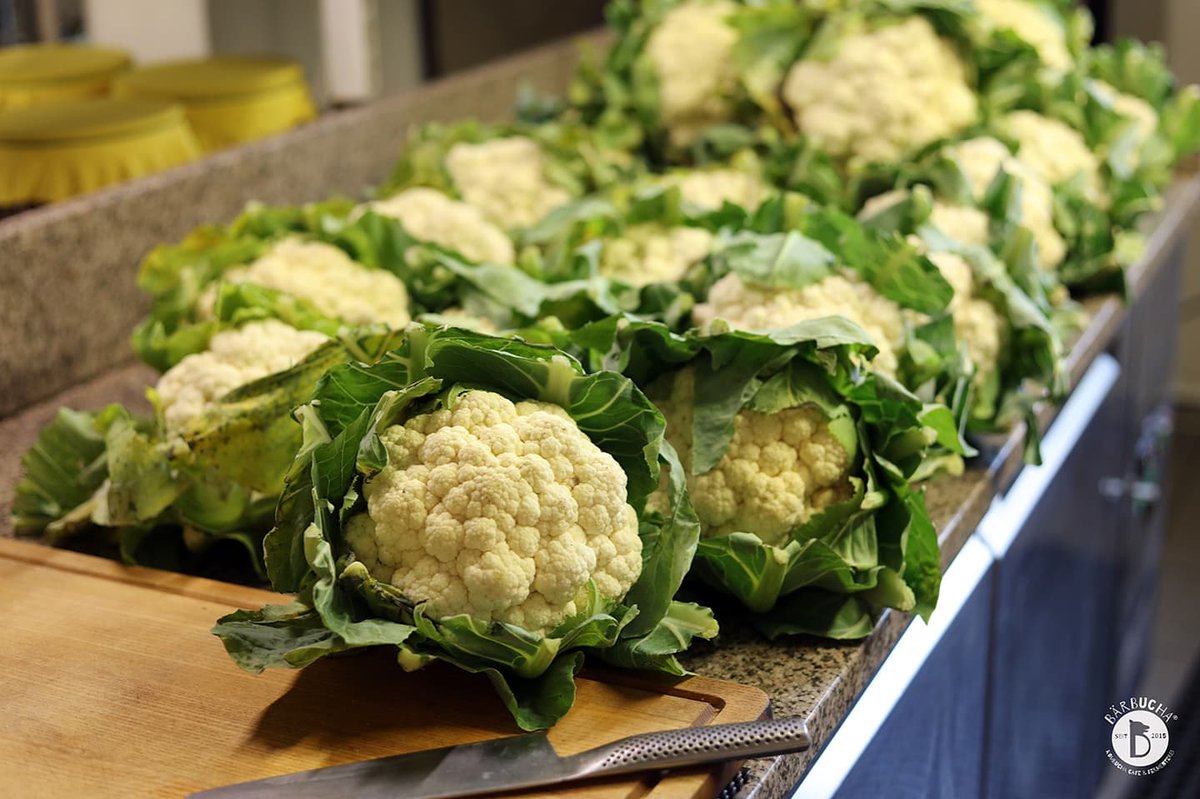 TeddieZag's tweet photo. Exactly one month ago - future Lacto-fermented Cauliflower with Indian Spices was about to be made 
#cafebärbucha #kombuchacafeberlin #lactofermented #bärbuchafermenterei #fermentedinberlin https://t.co/WzU39wTtUQ