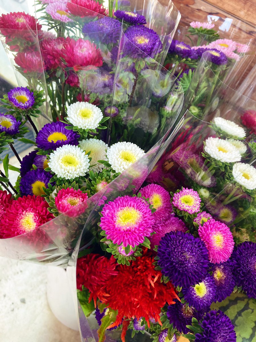 ReciprocalColor's tweet photo. 切り花始めました。 https://t.co/E8pOvoLSFT