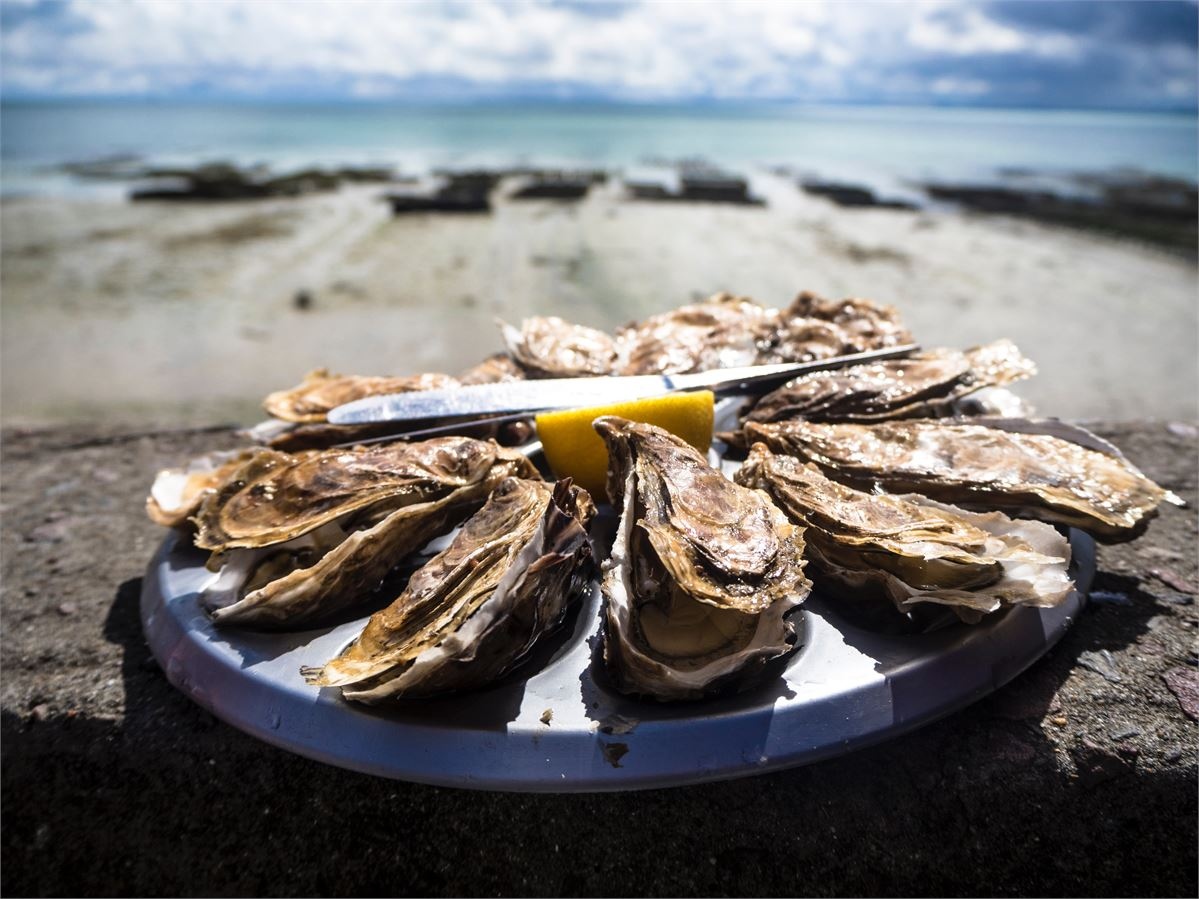 It's #NationalOysterDay so what better way to honour our Summer issue's cover story about @WhitstableMari1's restoration project of one of the last oyster yawls than with a plate of these guys. Read the full feature on the iconic Oyster Yawl via @issuu 🦪issuu.com/whitstablewhis…