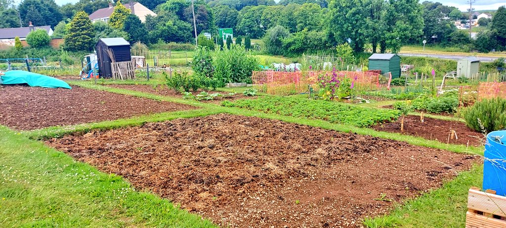 muddymuddymum's tweet photo. Alongside our farm, we also run a 2 acre allotment site, welcoming people into our farm to grow their own. Our site has grown from the initial 12 plots in 2010 to 50 plots today. 

We have made many new friends throughout the years because of our allotments.

#farm24 https://t.co/gu03gnHRTQ