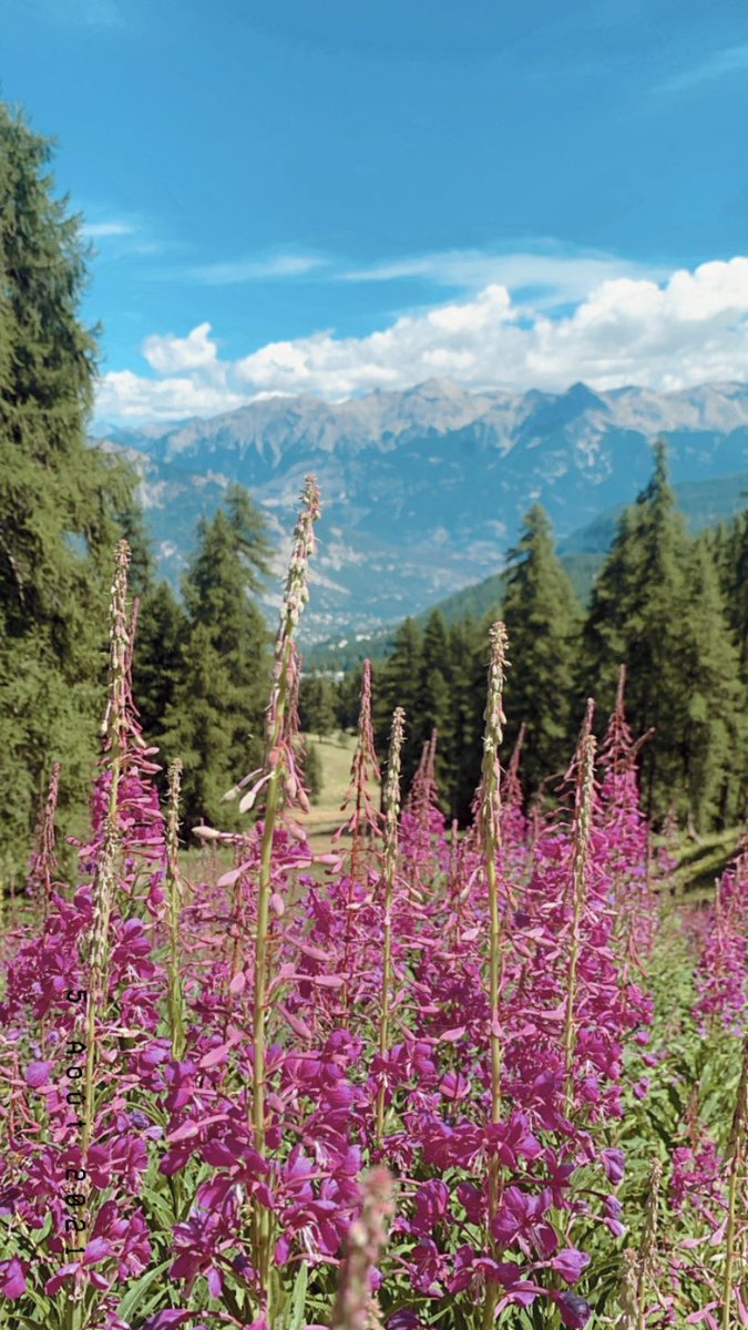 Plutôt sympa les vacances 🌸🌺