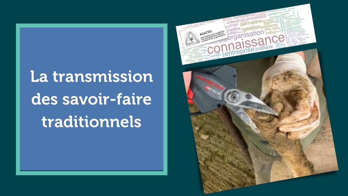 InstitutElevage's tweet photo. La #transmission des savoir-faire traditionnels | Retour sur le 1⃣4⃣ème colloque #AGeCS0
↪ Découvrez les résultats sur les compétences clés pour le #parage en élevage ovin 🐑, mises au jour dans le cadre du projet AmTrav'Ovin
📌+ d'infos : https://t.co/tPjIzoKxuU
@rmt_travail https://t.co/AkPAvXb5lr