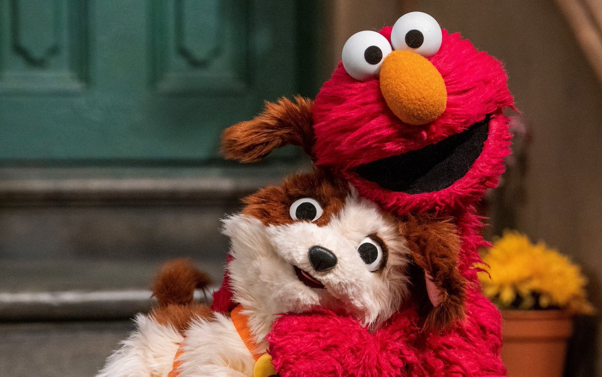 ELMO  puppy ☆rich in CHICKEN☆ Elmo gets a puppy, and we get a new furry friend forever. Together