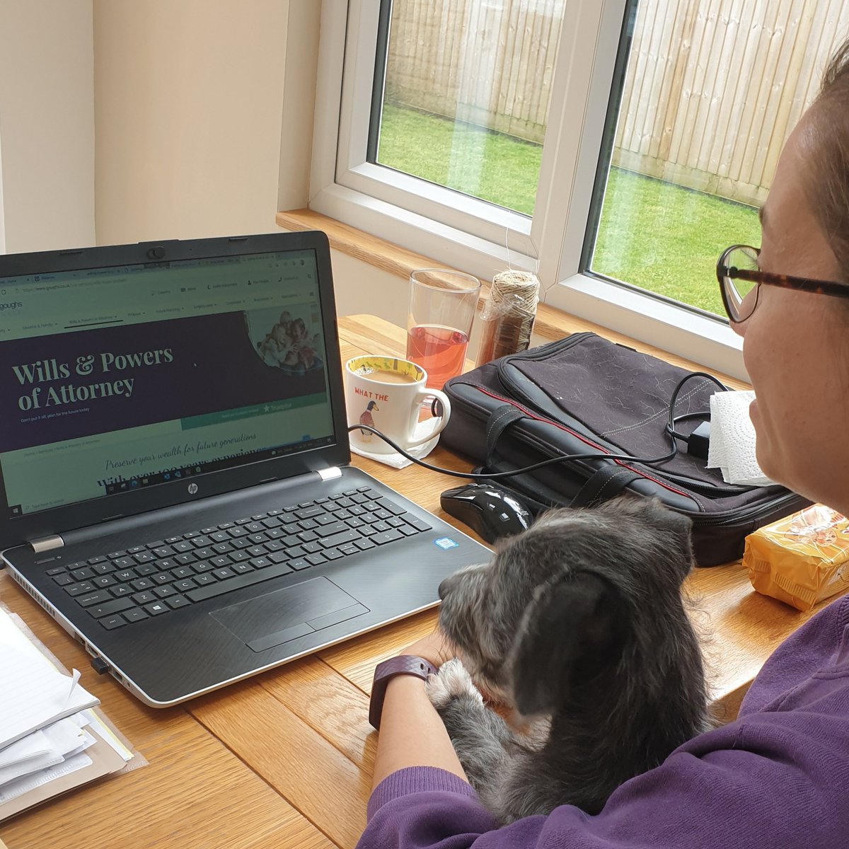 The newest member of the <a href="/goughs_lawyers/">Goughs Solicitors</a> #PrivateClient team helping whilst I #workfromhome, learning all things #Wills, #LastingPowersofAttorney &amp; #Probate