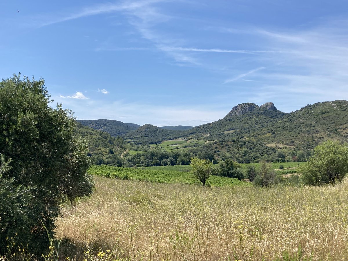 brunotdlb's tweet photo. #PicDeVissou #Cabrières ☀️ https://t.co/7hzEBVjlTl