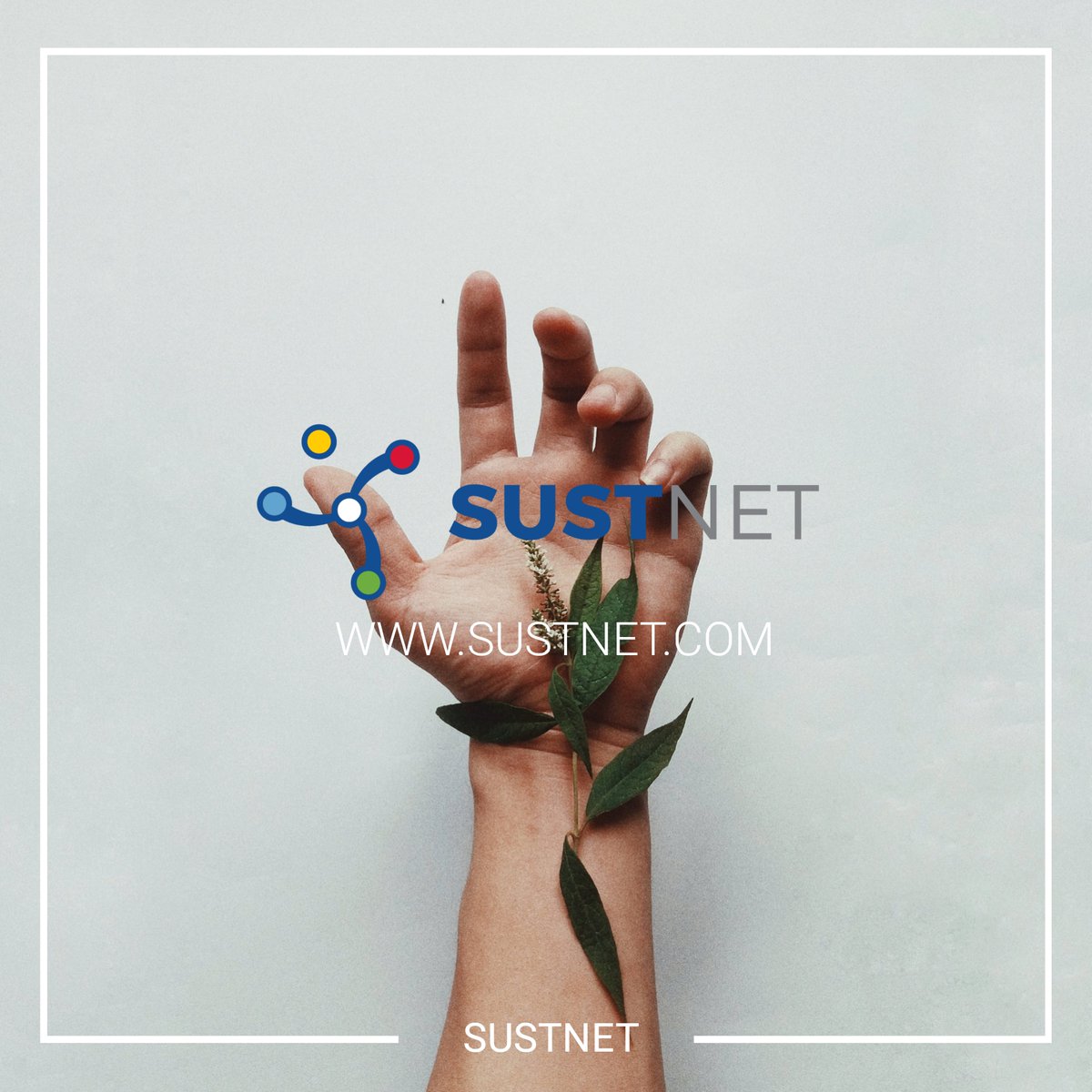 Sustnet's tweet photo. Have a look at our products and services!
https://t.co/jb0NC878Kh
https://t.co/tKYFFyK6LJ
https://t.co/NzpLy05ijZ

#sustainability #wastemanagement #waste #water #energy #biofuel #biodiesel #gogreen #environment https://t.co/s3cWsJn2uP
