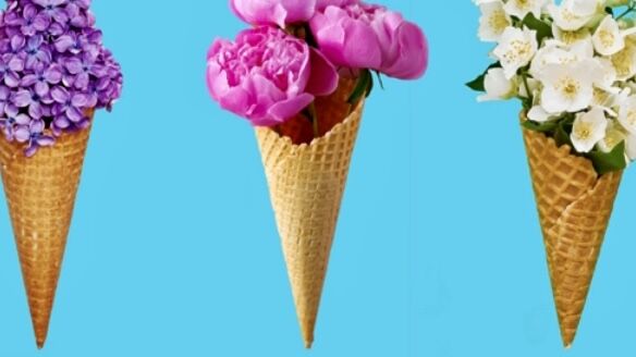 JagaEspana's tweet photo. DISFRUTA DE UN #VERANO FRESCO…#JAGA IS #COOL!
Enfría con tus radiadores.
Los #radiadoresHybrid desarrollados por #Jaga #ClimateDesigners
El Light cooling es mejor para ti, para tu presupuesto y para el planeta
#JagaisCoom 👉https://t.co/UWX23Sskko
#ventilacion #climatizacion https://t.co/Vqf824p2r9