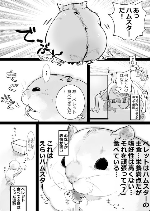 ペレットたくさん食べようね!
#ハムスター漫画 