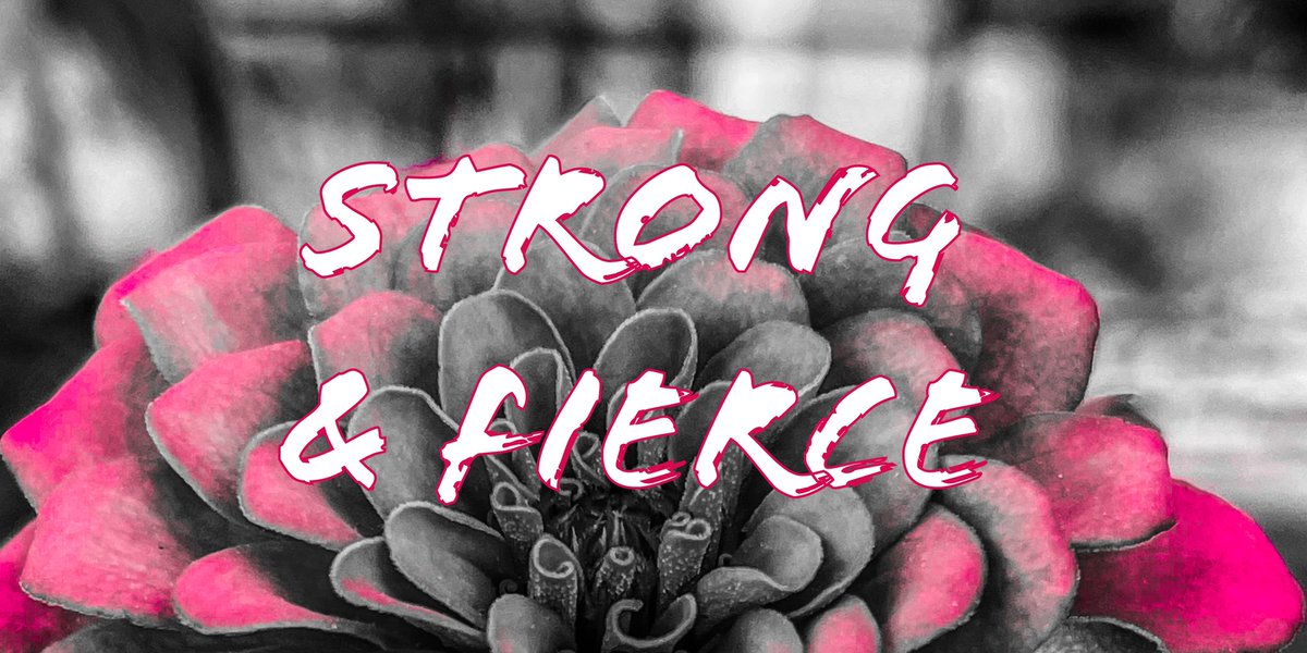 EmberFane's tweet photo. #WritingCommunity and #readers alike, who are your favorite strong and fierce #characters ? https://t.co/SiwdUPSK56