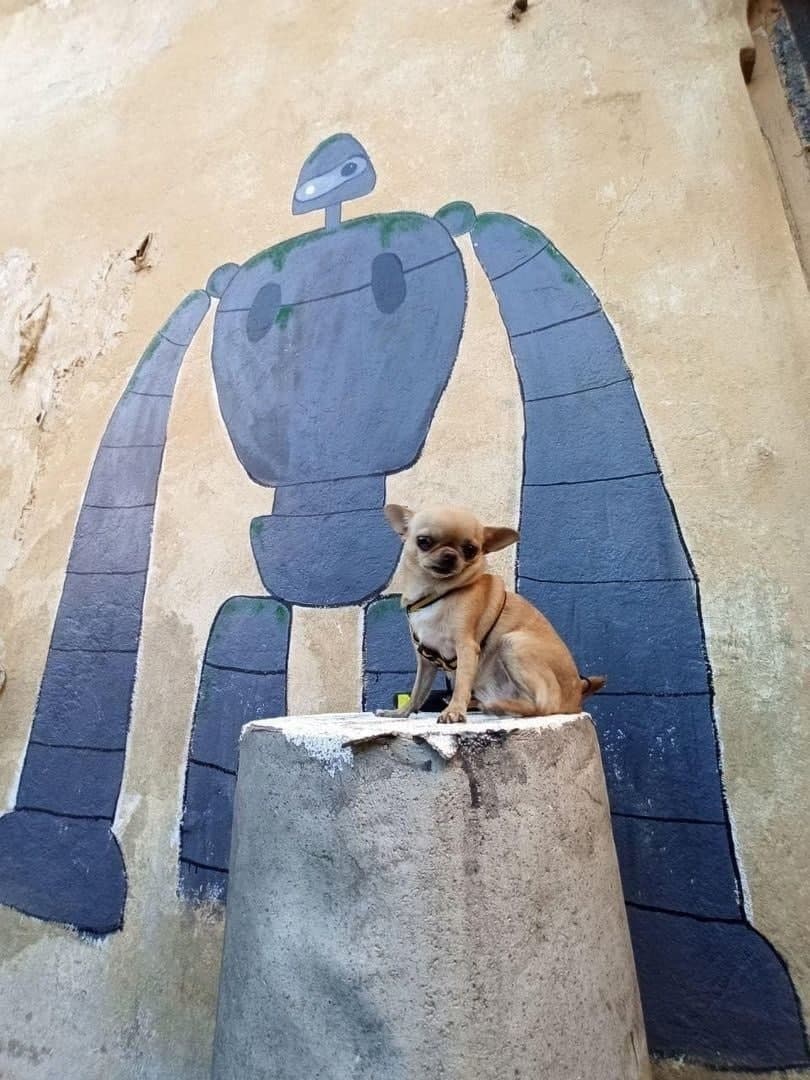 Wild_SPb's tweet image. На Васильевском острове во дворе на Биржевой линии разбили небольшой сад в японском стиле, в декоре использовали персонажей из мультфильмов Хаяо Миядзаки. 
Молодцы!