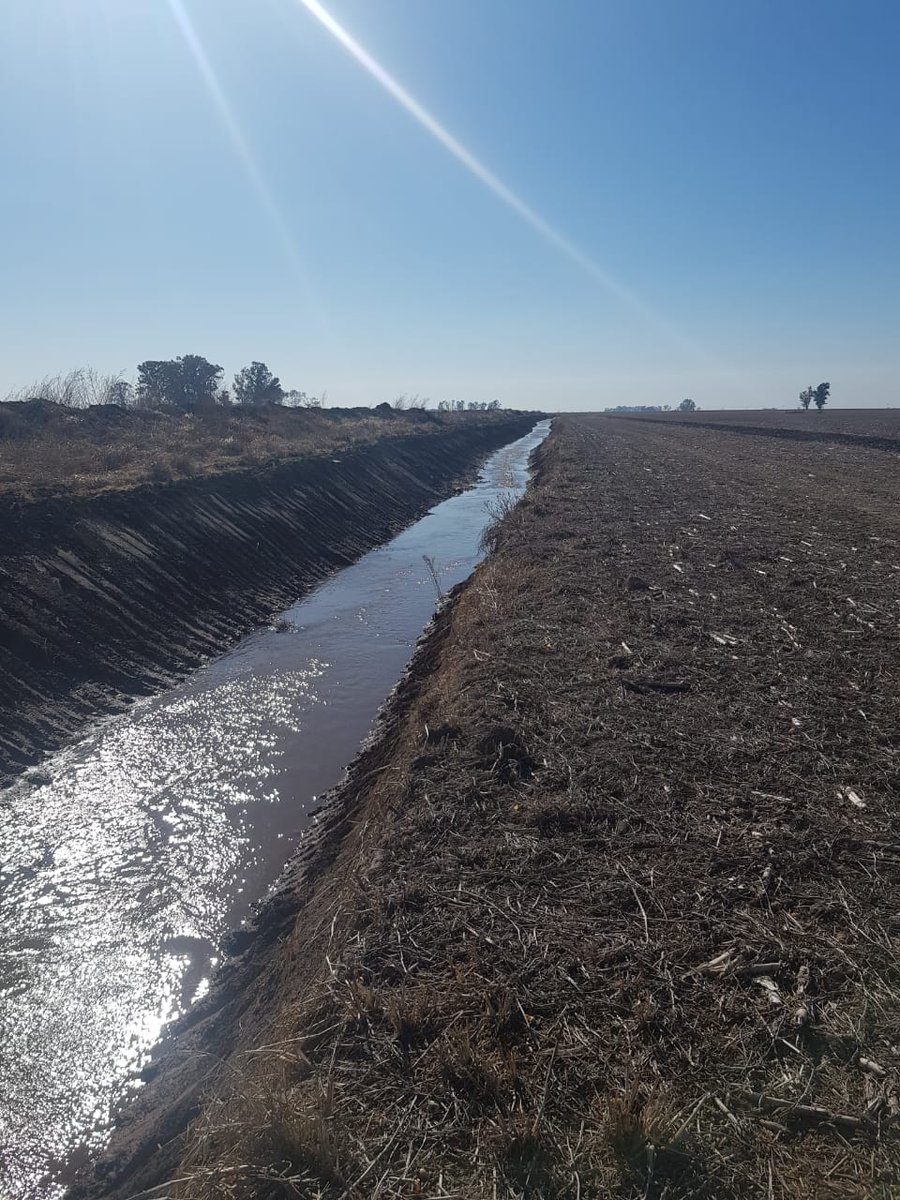MinSPcba's tweet photo. 🛠️ Actualmente se trabaja en la obra: Mantenimiento de canales Zona II con el comienzo de la readecuación del canal de #Leones al Arroyo Tortugas cuenca media. 🛠️Y se realiza la limpieza y readecuación de 5 alcantarillas en caminos públicos e internas de campo. https://t.co/55bCpuz8JV