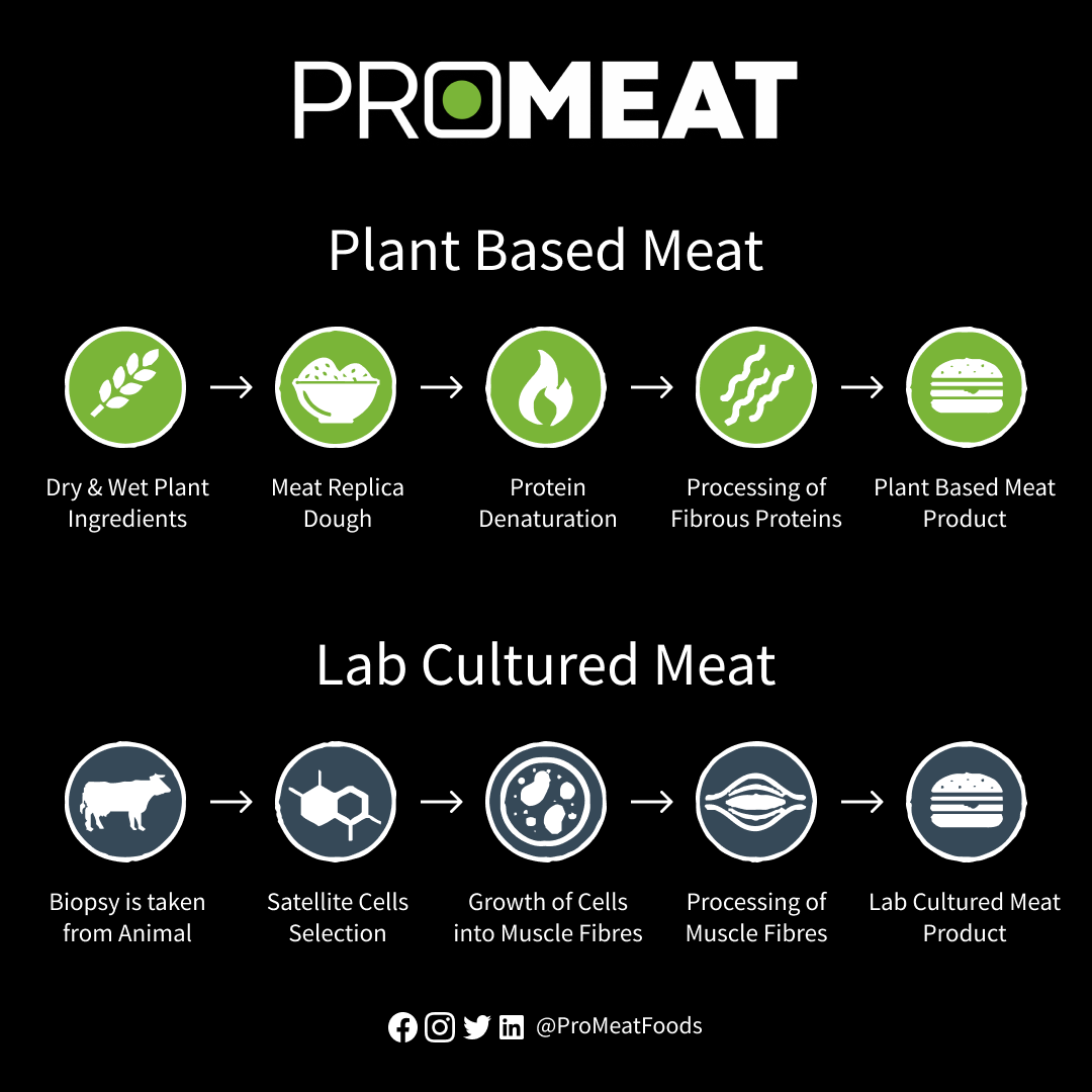 ProMeatFoods's tweet photo. Alternatives for a healthy and sustainable future food chain! 🌱✨

#plantbased #sustainability #vegan #plantpower #environnement #promeat #promeatfoods 
@IITKanpur @IncubatorIITK @debabrata1997 @pranjuli_garg https://t.co/MxTXiAvezI