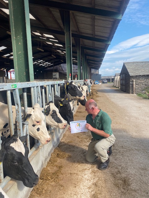 GateVets's tweet photo. This is Mark, one of our directors, checking over this herd of cows following a routine visit. #farm24 @FarmersGuardian https://t.co/TjukM4bfSZ