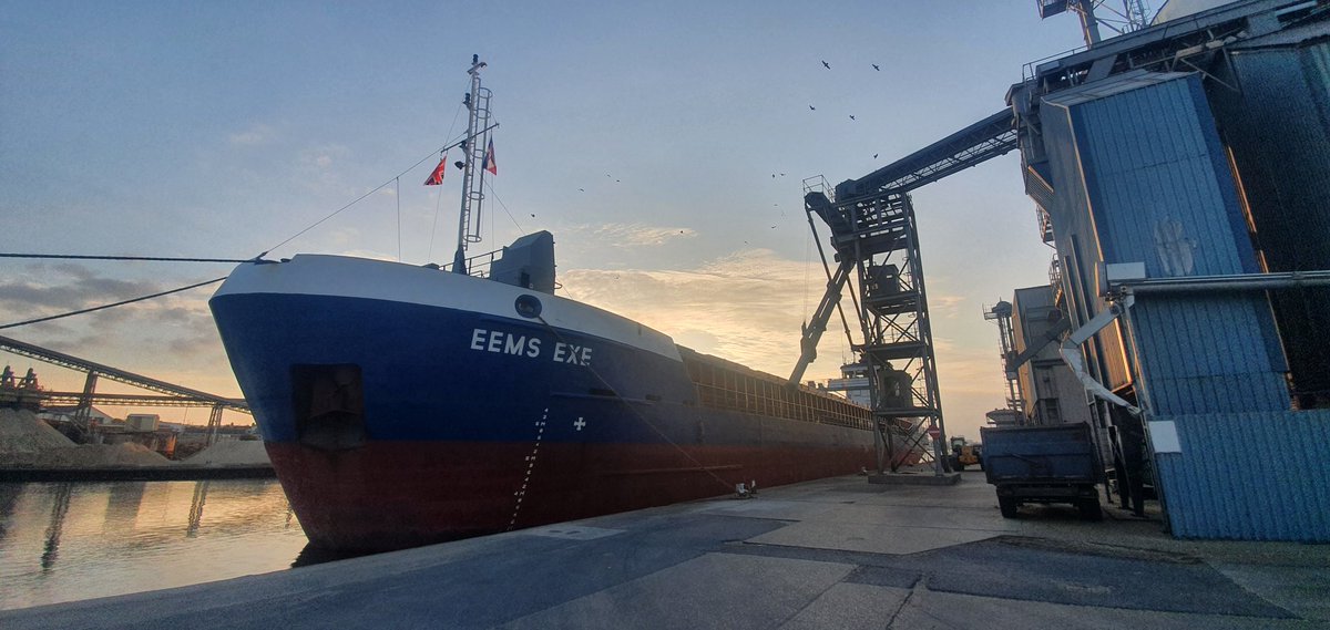Busy week this week👍 we have been on farm testing osr into store , loading a milling wheat vessel in dover and now to finish the week a feed barley vessel in shoreham #harvest2021