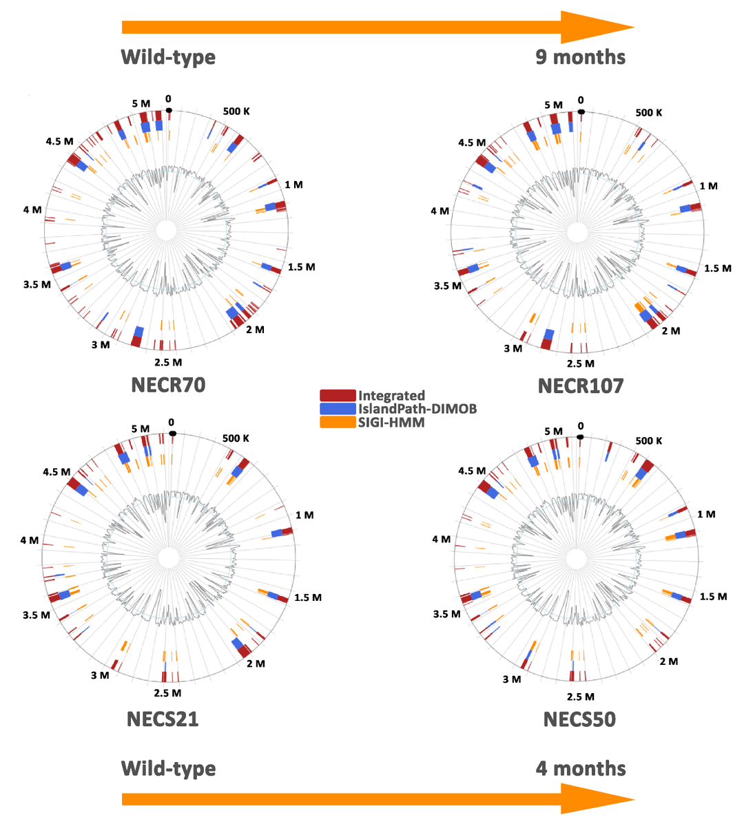 Micro_MDPI's tweet image. "#𝘌𝘴𝘤𝘩𝘦𝘳𝘪𝘤𝘩𝘪𝘢 𝘤𝘰𝘭𝘪 Isolated from Diabetic Foot Osteomyelitis: #Clonal Diversity, Resistance Profile, Virulence Potential, and Genome #Adaptation" From Dr. Lienard et al. Read more at mdpi.com/2076-2607/9/2/…