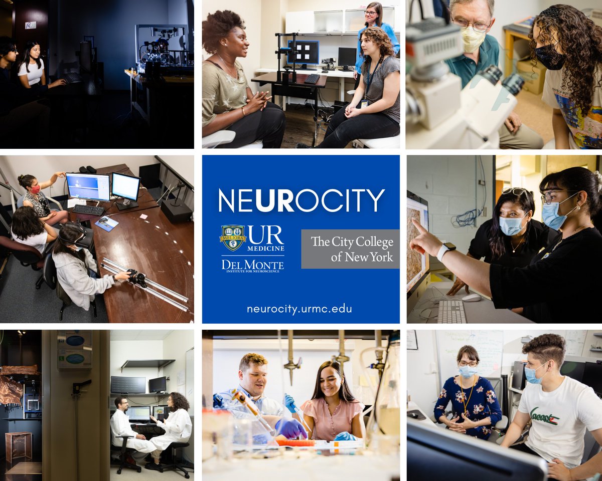 Del Monte Institute for Neuroscience tweet media