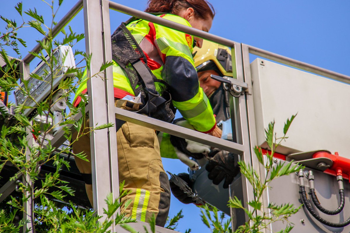 Melding brandweer Heideblauwtje Apeldoorn